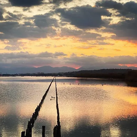 アパート Poetto Casa Bach Ck *