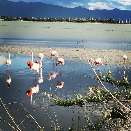 Poetto Casa Bach Ck Lägenhet